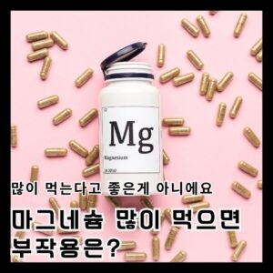 2 3 마그네슘 이렇게 먹으면 먹으나 마나