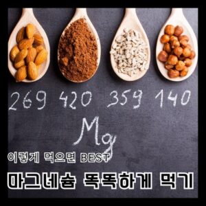 3 3 마그네슘 이렇게 먹으면 먹으나 마나